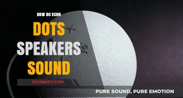 Echo Dot Speakers: Sound Quality Review and Performance Analysis