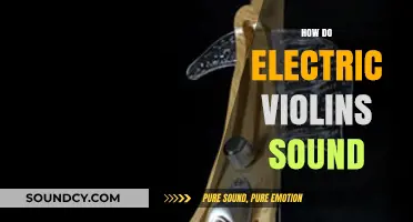 Exploring the Unique Tone and Versatility of Electric Violins