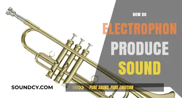 Understanding Electrophones: The Science Behind Sound Production in Electronic Instruments