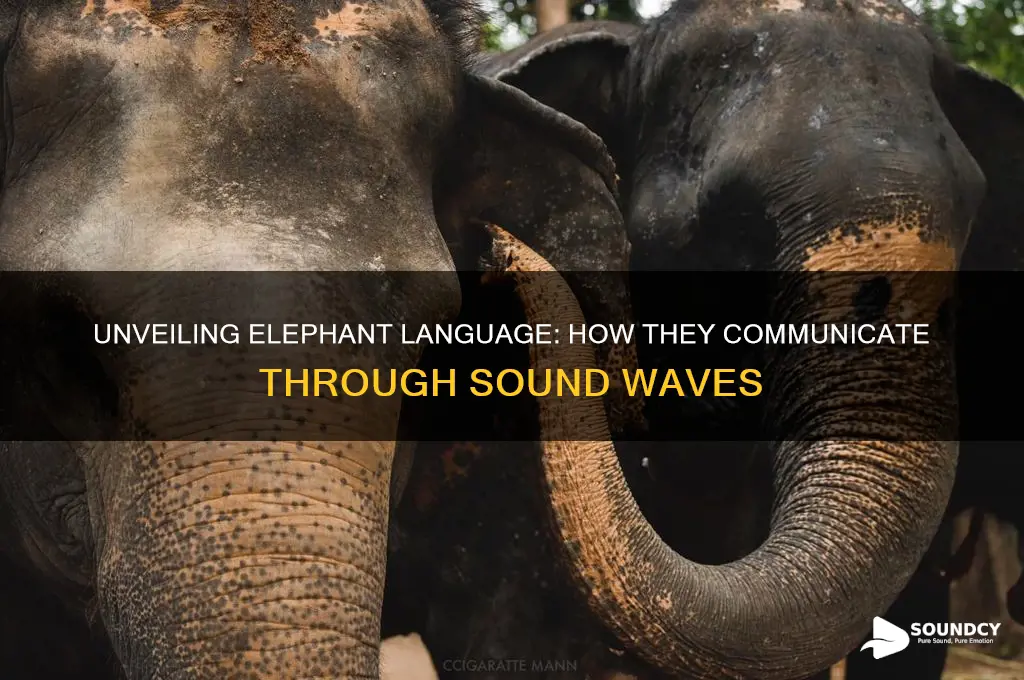 how do elephants communicate through sound