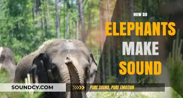 Unveiling the Majestic Mystery: How Elephants Produce Their Unique Sounds