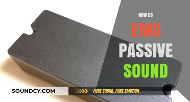 Understanding EMG Passive Pickups: How They Capture Raw Guitar Tone