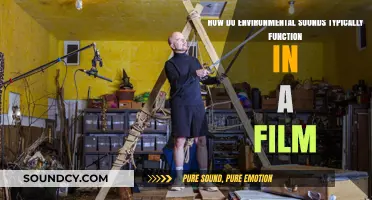 Environmental Sounds in Film: Crafting Atmosphere and Enhancing Storytelling