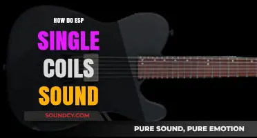 Exploring the Bright, Chimey Tone of ESP Single-Coil Pickups