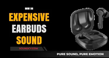 Do Premium Earbuds Deliver Superior Sound Quality? An In-Depth Review