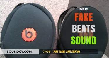 Unveiling the Truth: How Fake Beats Sound Compared to Real Ones