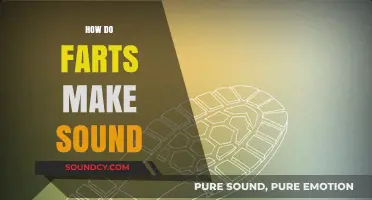 Unraveling the Science: How Do Farts Produce Audible Sounds?