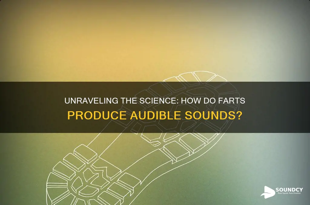 how do farts make sound