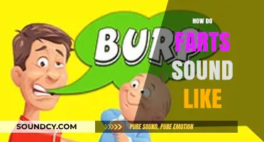 Exploring the Unique Sounds of Human Flatulence: What Do Farts Really Sound Like?