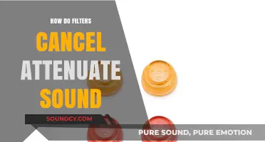 How Filters Cancel and Attenuate Sound: A Comprehensive Guide