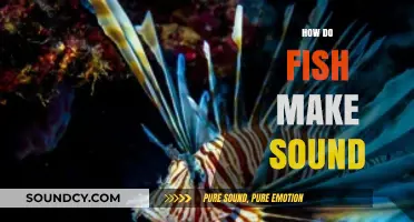 Unveiling the Aquatic Symphony: How Fish Create and Communicate with Sound