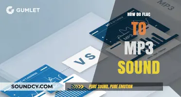 FLAC vs MP3: Comparing Audio Quality and Sound Differences
