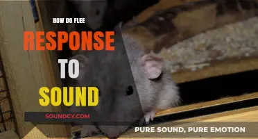 Unraveling the Flee Response: How Animals React to Sound Stimuli