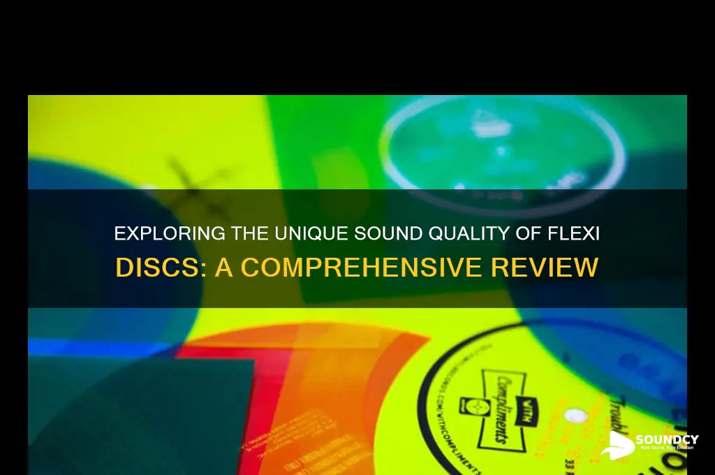 how do flexi discs sound