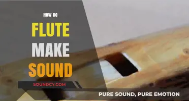 How Flutes Create Sound: Unveiling the Science Behind the Melody