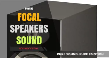 Exploring the Rich, Detailed Sound of Focal Speakers: A Deep Dive