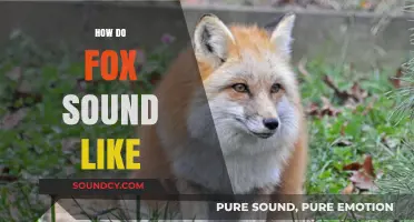 Unveiling the Unique Vocalizations: What Does a Fox's Call Sound Like?