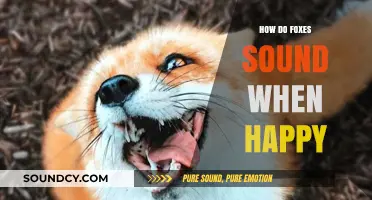 Joyful Fox Noises: Understanding Happy Vocalizations in These Clever Canines