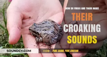 Unveiling the Croaking Mystery: How Frogs and Toads Produce Their Unique Sounds