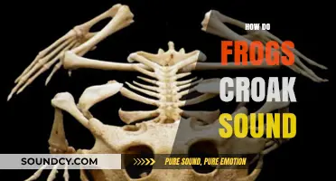 Unveiling the Science Behind How Frogs Croak and Their Unique Sounds