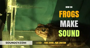 Unveiling the Croaking Mystery: How Frogs Produce Their Unique Sounds