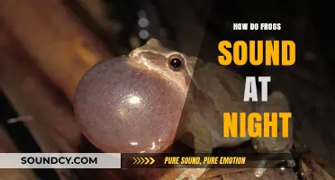 Exploring the Nocturnal Symphony: How Frogs Sound at Night