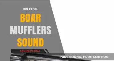 Full Boar Mufflers: Unveiling Their Unique Sound and Performance