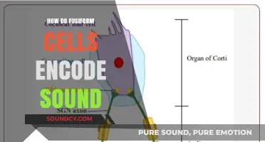 Decoding Sound: The Role of Fusiform Cells in Auditory Encoding