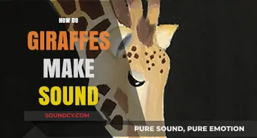 Unveiling the Silent Giants: How Giraffes Communicate with Unique Sounds