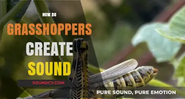 Unveiling the Buzz: How Grasshoppers Produce Their Unique Sounds