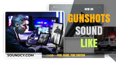 Unveiling the Distinct Acoustic Signature of Gunshots: What to Listen For