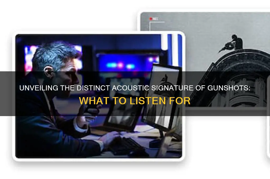 how do gunshots sound like