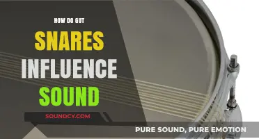 Gut Snares: Unveiling Their Unique Impact on Drum Sound and Tone