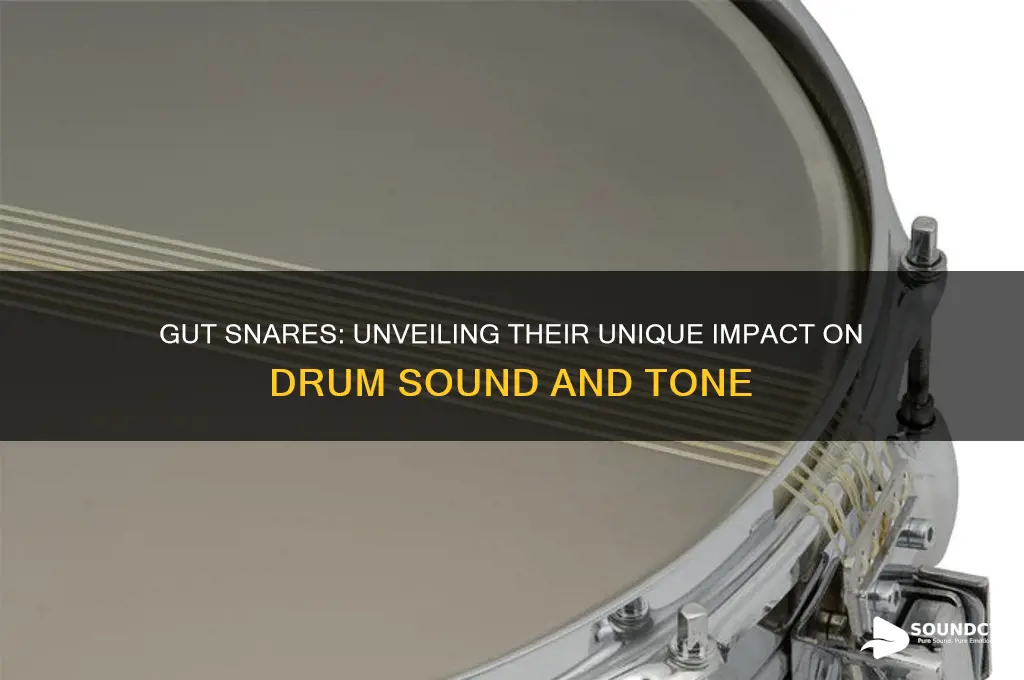 how do gut snares influence sound