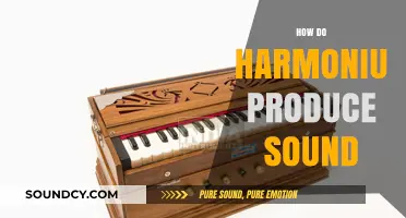 Unveiling the Harmonious Mechanism: How Harmonium Produces Sound