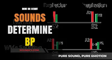 Heart Sounds and Blood Pressure: Unraveling the Acoustic Connection