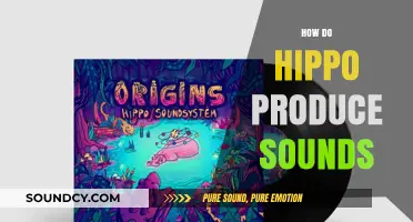 Unveiling the Unique Vocalizations: How Do Hippos Produce Sounds?