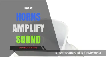How Horns Amplify Sound: The Science Behind Acoustic Enhancement