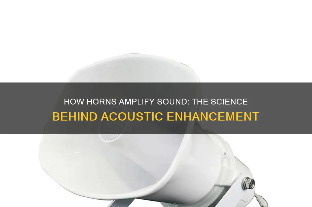 how do horns amplify sound