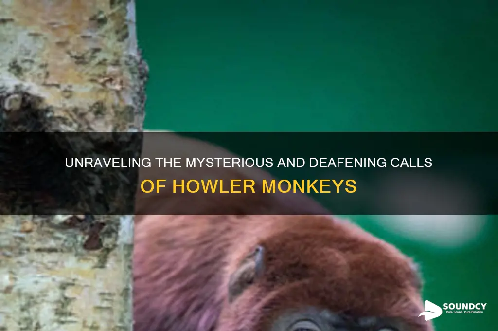 how do howler monkey sound
