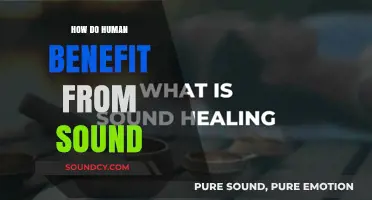 The Power of Sound: Enhancing Human Health, Mind, and Well-being