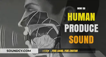 The Science of Speech: How Humans Produce Sound and Voice
