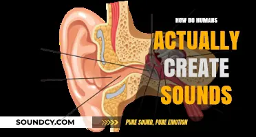 Unveiling the Science Behind Human Sound Production: A Comprehensive Guide