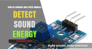 Unraveling the Mysteries of Sound Detection in Humans and Animals
