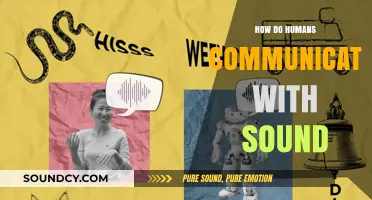 The Science of Sound: How Humans Convey Meaning Through Speech and Noise