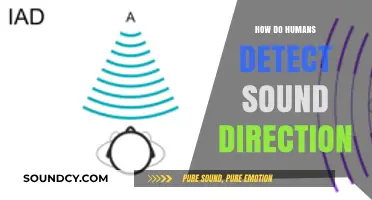 Unraveling the Science: How Humans Accurately Detect Sound Direction