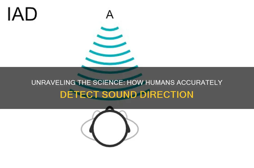 how do humans detect sound direction