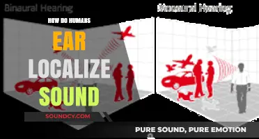 How Humans Pinpoint Sound: The Science of Ear Localization