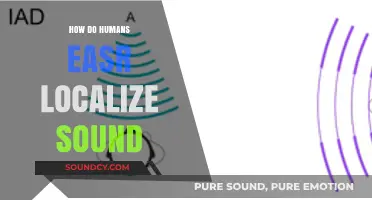 How Humans Accurately Localize Sound: The Science Behind Auditory Perception