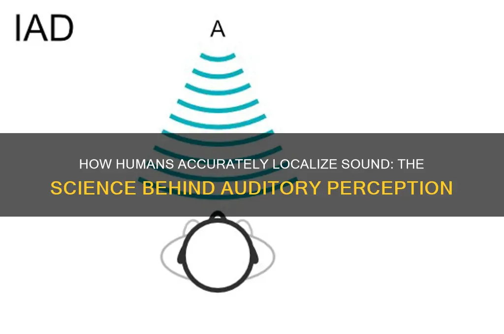 how do humans easr localize sound